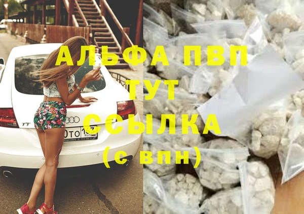 тгк Магадан