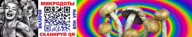 Галлюциногенные грибы Magic Shrooms  даркнет сайт  Назрань 