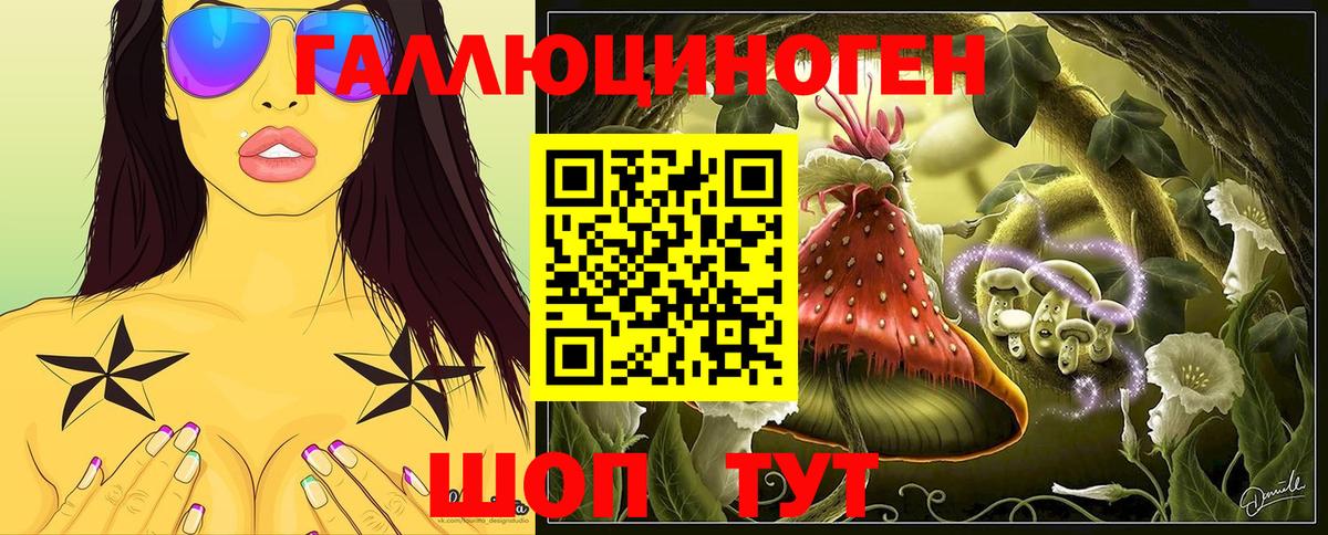 Назрань  Псилоцибиновые грибы Psilocybe  Галлюциногенные грибы MAGIC MUSHROOMS  Вход с VPN 