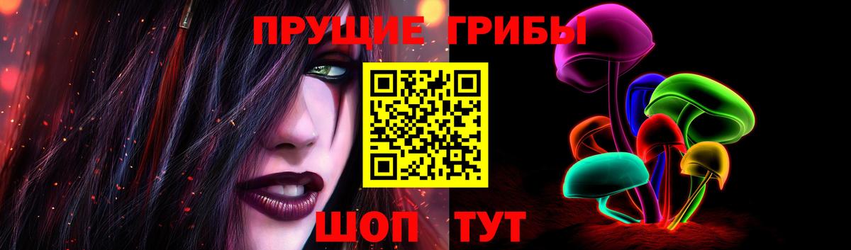 Псилоцибиновые грибы ЛСД  Назрань  Псилоцибиновые грибы MAGIC MUSHROOMS 